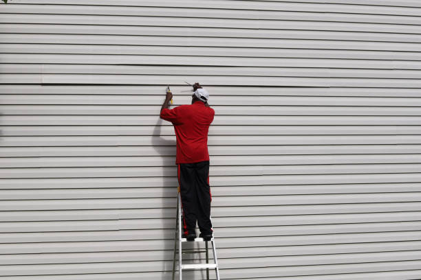 Best Insulated Siding Installation  in Maple Lake, MN